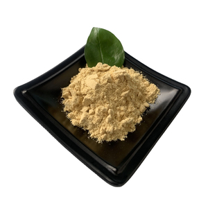 Lécithine de Soja en Poudre de Qualité Supérieure pour l'Exportation en Gros, Grade Alimentaire Premium, Stock Prêt, Service OEM, Acheteurs Mondiaux - Product Image 1