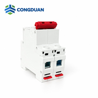 Disjoncteur miniature 2P DZ47 63A 230/400V 6kA pour la protection contre les surcharges et les courts-circuits