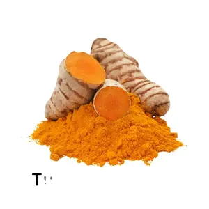 Highest Quality of Turmeric Extract Powder at Affordable Price Turmeric Powder Extract Factory Wholesale Sale for Bulk Buyers