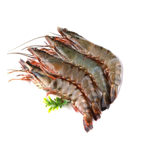 Camarones Tigre Congelados al por Mayor con Textura Carnosa de Calidad Premium, Procesamiento Limpio, Grados Uniformes y Almacenamiento Conveniente - Product Image 1