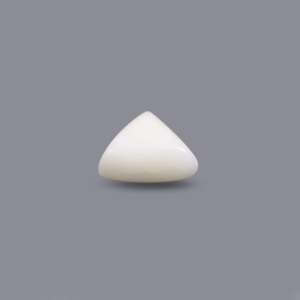 Natural White Coral Loose Gemstone 6.2 Carat AAA Grade Oval Cabochon Certified Wholesale - Product Image 3