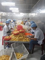 Hete verkoop 2025 Zachte zoete gedroogde mango Vietnamese watergeconserveerde vacuümverpakking bulkverpakking groothandel gesneden kant-en-klare gedroogd fruit