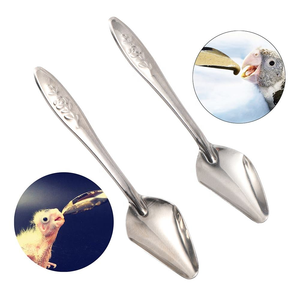 Cuillère d'alimentation <span class=keywords><strong>pour</strong></span> perroquet en acier inoxydable, cuillère <span class=keywords><strong>pour</strong></span> l'élevage manuel des oiseaux, cuillère <span class=keywords><strong>pour</strong></span> l'alimentation au <span class=keywords><strong>lait</strong></span> des poussins, fournitures d'alimentation <span class=keywords><strong>pour</strong></span> oiseaux - Product Image 1