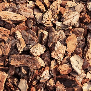 Industrial Wood Chips High Quality Pine Eucalyptus Chips for Biomass Fuel Pulp Paper Making Bulk Supplier Export Bulk Export Hub - Product Image 1
