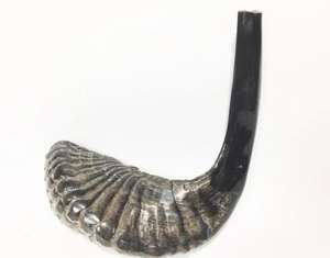 Échantillon sonore de Shofar très demandé et tendance, vidéo d'entraînement au Shofar, Shofar près de chez moi, Acheter - Product Image 3