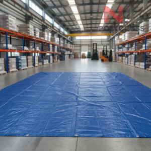 Lámina de Polietileno para Embalaje en Todo Tipo de Clima, Cubierta de Plástico Impermeable para Manejo de Materiales y Transporte, Aplicaciones de Almacenamiento Industrial - Product Image 5