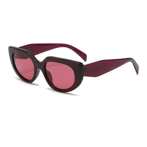 Gafas de Sol RTS con Montura Completa de PC, Protección UV400, Diseño Ojo de Gato, a la Moda, 2026, Personalizadas para Hombre y Mujer - Product Image 4