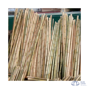 [HAUTE QUALITÉ] Canne en bambou Tonkin durable, approvisionnement en vrac, longueur et diamètre personnalisables pour clôtures, construction, projets de bricolage, bleu - Product Image 1