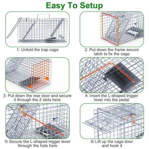 2 Pezzi Trappola per Animali Vivi a Porta Singola 18x8x10 Pollici, Gabbia Pieghevole in Ferro Zincato per Piccoli Animali, Accessori per Scoiattoli e Piccoli Animali - Product Image 6