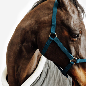 Cabestro para Caballo Transpirable de Alta Calidad, Estilo Western, Nuevo, Moderno, Cómodo y Ajustable - Product Image 6