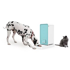 Element Wi-Fi Enabled Smart <b>Pet</b> Food Container <b>Feeder</b> Modern <b>Pet</b> <b>Bowls</b> & <b>Feeders</b> - Product Image 6