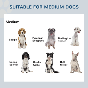 Premium Cat Food Feeder Bowl Durable Pet Bowls & Feeders - Product Image 2