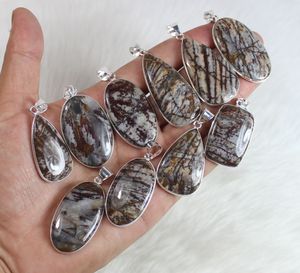 Jaspe de noix de coco naturel multi forme lunette réglage Cabochon 925 argent Sterling plaqué acier acier mode pendentif en gros - Product Image 6