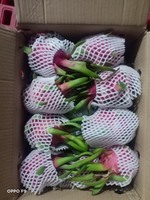 Viet Thien Phu Biologisch Rood Drakenfruit Premium Vers 100% Natuurlijk Exotisch Fruit Van Tropische Boerderijen In Vietnam