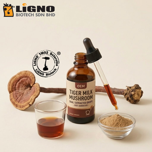 Extracto Puro de Hongo Leche de Tigre LiGNO TM02 en Polvo, Nutracéutico, Saludable para la Respiración, Certificado Halal Kosher, Material OEM ODM - Product Image 1