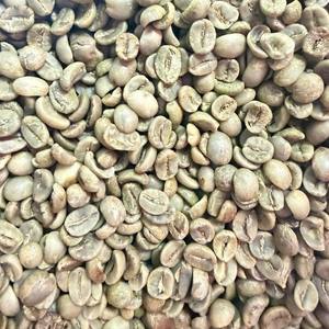 Commande d'essai : Grains de café Arabica du Vietnam, entièrement lavés, tailles 13, 14, 16, 18, 20, source directe - Product Image 2