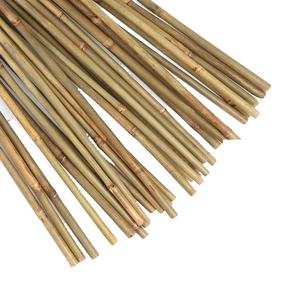 Estacas de Bambú de Alta Calidad Eco2go Vietnam, las Mejores Cañas de Bambú Naturales y Resistentes para Construcción, Exportación - Product Image 5