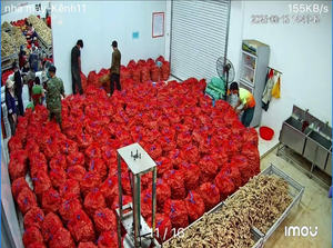 Jengibre Fresco de Vietnam, Raíz de Especia Lavada y Limpia de Primera Calidad, Suministro Global para Exportación - Product Image 4