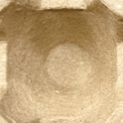 สีน้ำตาล