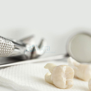 Forceps d'extraction dentaire manuels, dernière conception 2026, en acier inoxydable de haute qualité, certifiés CE, avec poignée ergonomique - Product Image 2