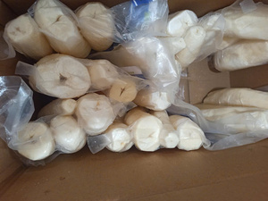 Yuca Congelada de Calidad para Exportación a Granel, Raíz de Yuca Congelada, Precio Competitivo, Ingrediente de Vietnam - Product Image 2