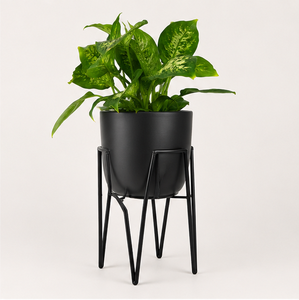Jardinière en métal noir avec support pour plantes d'intérieur, pot de fleurs en fer thermolaqué, présentoir pour plantes pour salon - Product Image 4