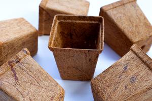 Pot de culture en fibre de coco biologique – Jardinière écologique pour semis, idéale pour la maison, le jardin et les applications en pépinière - Product Image 4