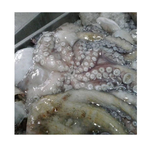 Poulpe Congelé de Qualité Supérieure en Gros, Grade Alimentaire, Stock Prêt, Fournisseur d'Exportation de Confiance - Product Image 3