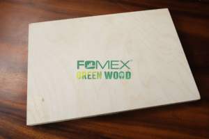 Contrachapado de Abedul de 9mm, 12mm, 15mm, 18mm, 21mm, Acacia, Eucalipto, Grueso, Certificado CARB-P2 E0, Lijado, para Uso en Interiores, Sostenible, Exportado - Product Image 5