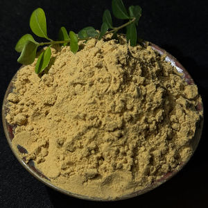 Quitosano Agrícola en Polvo Granular Amarillo de 1 kg, Fertilizante Soluble en Agua de Liberación Lenta para Plantas Foliares - Product Image 3