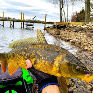 Guantes de Pesca Profesionales Antideslizantes, Cortos, Transpirables, para Verano, para Pesca en Agua Salada y Dulce, para Pesca de Lubina - Product Image 5