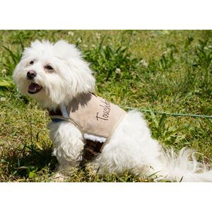 Boutique Adjustable Fashion <b>Dog</b> <b>Harness</b> and Leash Tough Pet <b>Harnesses</b> - Product Image 6
