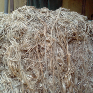 แคดดี้ปอกระเจาจากบังคลาเทศมีหลายขนาด - Product Image 6