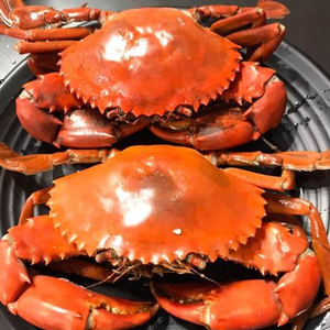 Camarones de Lodo Congelados IQF de Alta Calidad, Listos para Cocinar, Mariscos Premium para Venta al por Menor, Servicio de Alimentos y Catering - Product Image 4