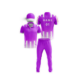 Uniforme de Cricket Sublimado / Conjunto de Uniforme de Cricket Personalizado, Camiseta y Pantalón / Ropa de Partido de Cricket Personalizada, Precio Económico, OEM Personalizado - Product Image 3