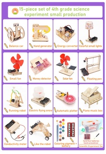 Jeux secret en bois 3d, plus de 100 pièces, kits d'expérimentation scientifique pour enfants, puzzle à tige en bois, vente en gros - Product Image 5