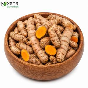 Fabricant Direct de Curcuma Longa, Rhizome Séché, Matériel Herbal Premium, OEM - Product Image 1