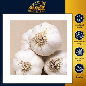 Ail frais blanc en bulbes, arôme naturel pour la cuisine et la transformation alimentaire, disponible en gros - Product Image 2