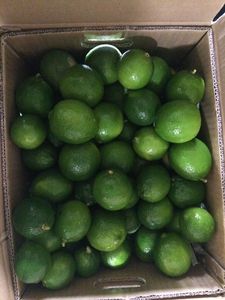 Meilleures ventes : Tranches de citron vert sans pépins lyophilisées AD, qualité alimentaire, garniture pour boissons, emballage sous vide, en vrac, norme export 2026 - Product Image 2