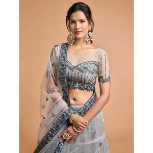 Lehenga Choli de Talla Grande con Bordado de Red para Fiesta de Noche o Quinceañera - Product Image 2