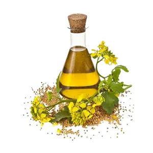 Fornitore all'ingrosso genuino che vende olio essenziale di semi di aneto puro e biologico al 100% in vendita dall'india