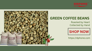 [ตัวเลือกที่ดีที่สุด2025] dhpone เมล็ดกาแฟโรบัสต้าสีเขียวเกรด1จากเวียดนาม - Product Image 4
