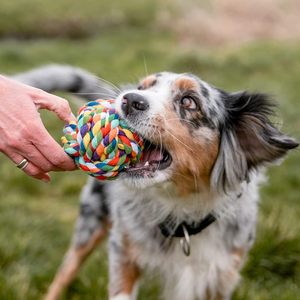 Gran Demanda, Pelotas de Cuerda de Algodón Lavables y Aptas para Mascotas, Juguetes para Perros y Cachorros, Pelotas de Cuerda Pequeñas para Masticar - Product Image 5