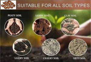 Fertilizante Orgánico de Aceite de Ricino Certificado, en Polvo, de Alta Calidad, Prensado en Frío, del Sur de la India, de Productores del Sur de la India - Product Image 4