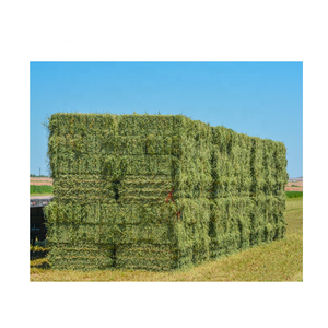 Heno de Pasto Rhodes 100% Natural de Primera Calidad, Grado Alimenticio, Alto en Proteínas, para Alimentación Animal, Caballos, Peces, Ganado, en Bolsas de PP de 25/50 kg - Product Image 4
