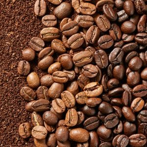 Café Robusta de qualité supérieure, écologique et durable, torréfaction moyenne, en gros, pour une distribution haut de gamme - Product Image 6