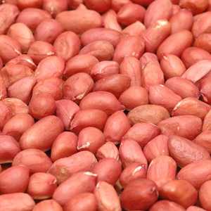 Best Selling Organic Red Skin <b>Peanuts</b> Fresh Groundnut Kernel Shelled Premium Food Grade Snack Durable Blanched Canned Austria - Product Image 6
