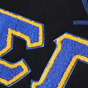 เสื้อสเวตเชิ้ต Sigma Gamma Rho Chenille ลายตัวอักษรกรีก สำหรับฤดูหนาว แบบยูนิเซ็กซ์ ผลิตจากโพลีเอสเตอร์/คอตตอน สีดำ ทอง น้ำเงิน ลายทาง มีกระเป๋า คอกลม สำหรับชมรมนักศึกษา - Product Image 6