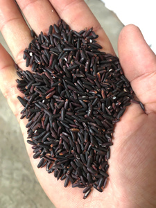 Arroz Negro Premium de Nueva Cosecha Tien Giang, Suministro al por Mayor para Restaurantes, Tiendas de Alimentos Saludables y Exportación - Product Image 6