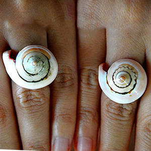 Natural <b>Ring</b> White Shell From Indonesia SEASHELL JEWELRY <b>Ring</b> shell <b>Motive</b> <b>ring</b> White Shell Size 5cm - Product Image 2